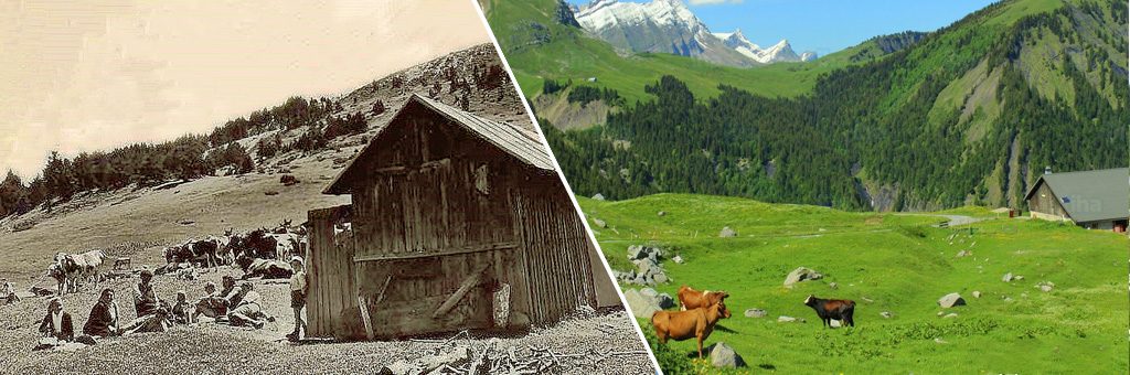 La Grande Histoire des Alpages en Pays de Savoie
