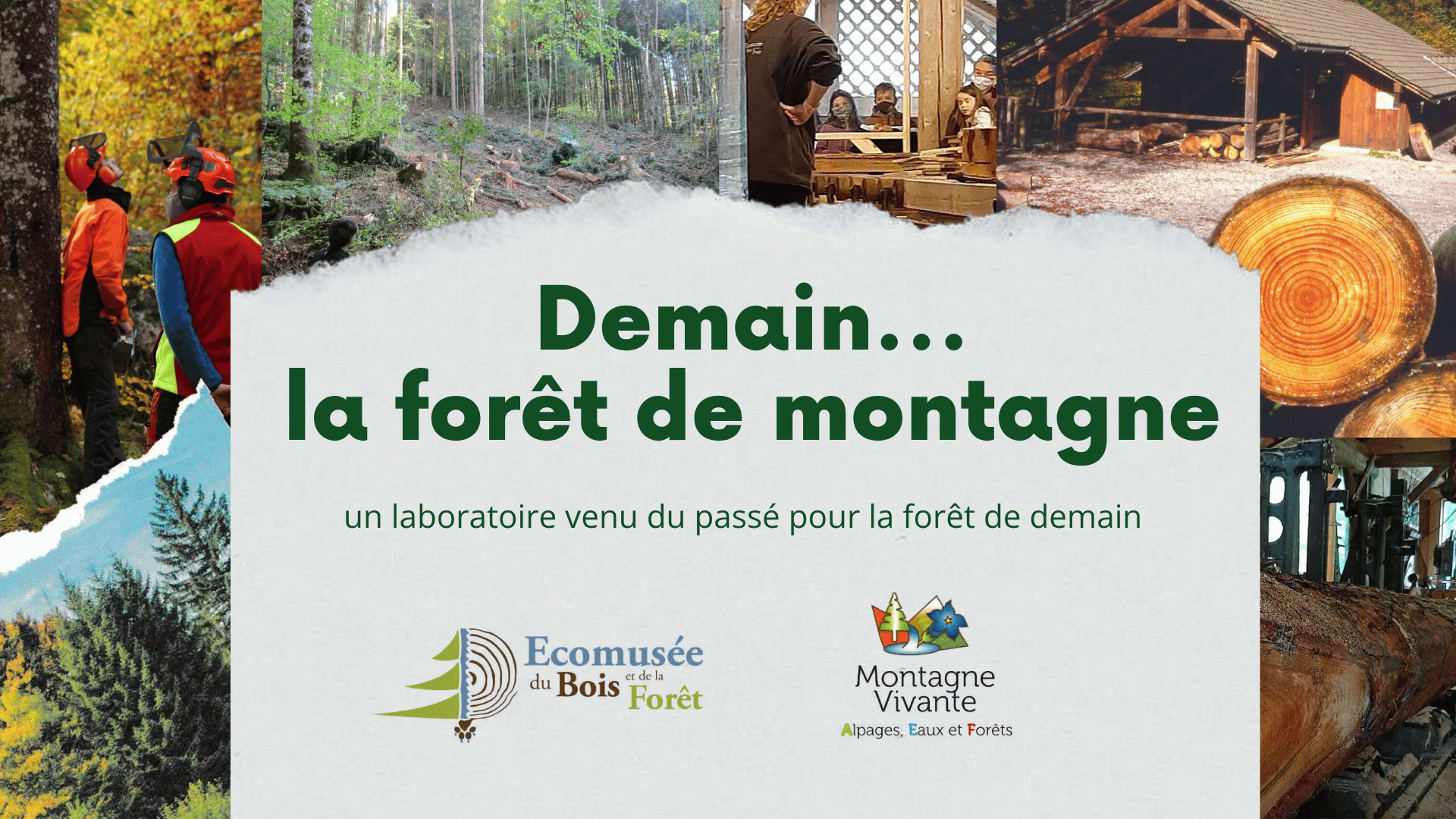 Demain… la forêt de montagne - page 1