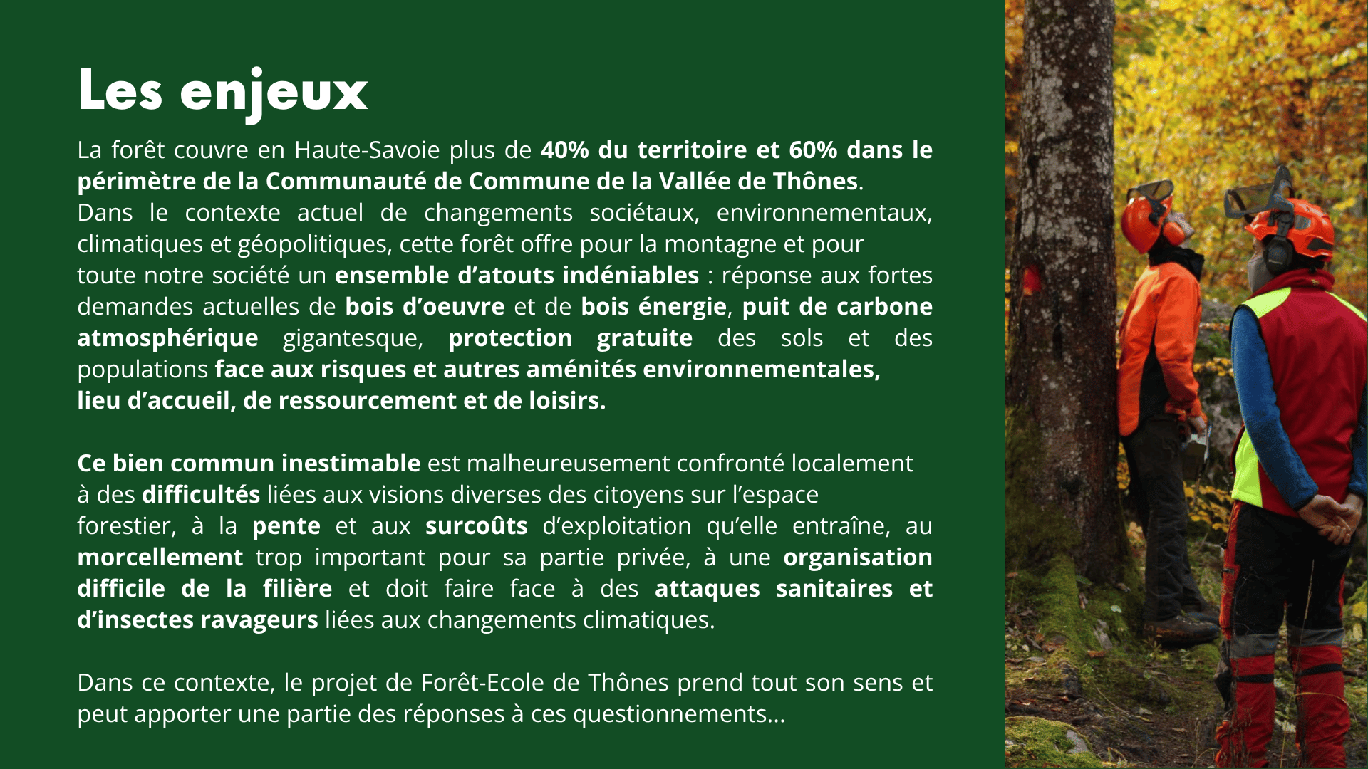 Demain… la forêt de montagne - page 3