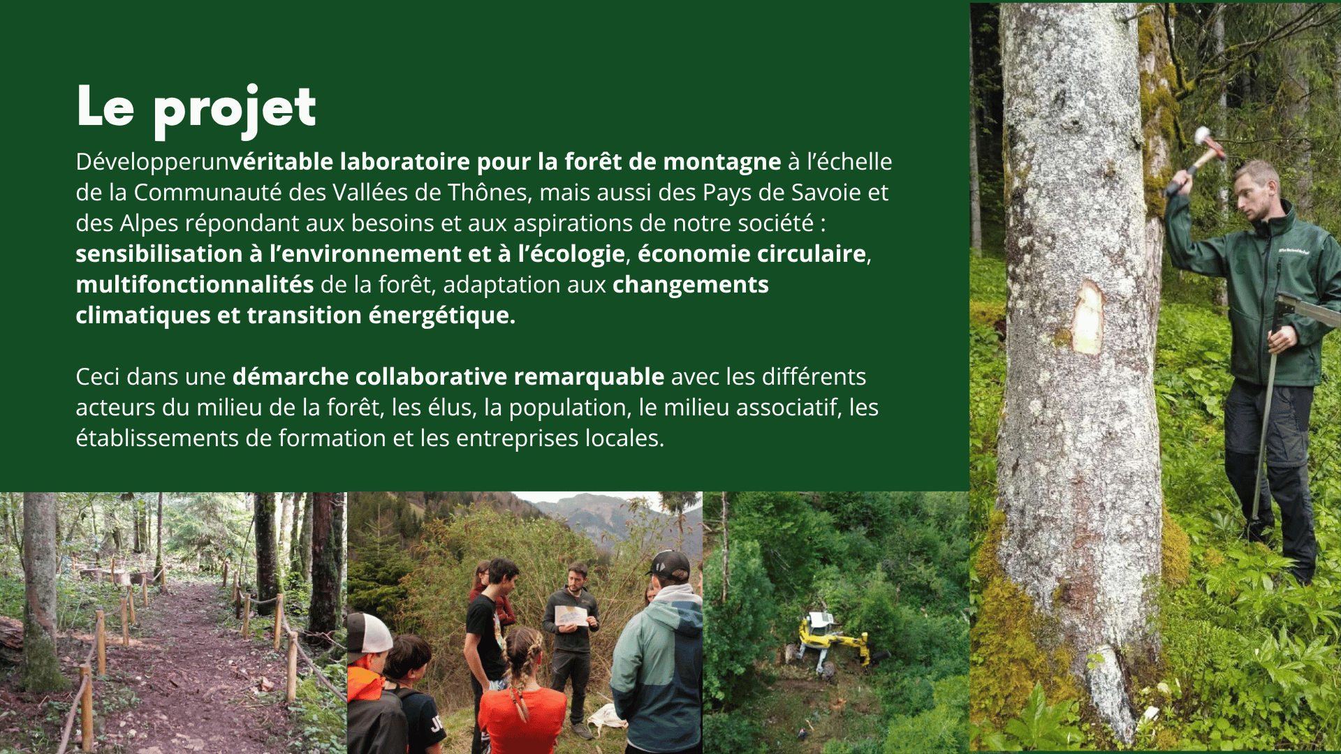 Demain… la forêt de montagne - page 4